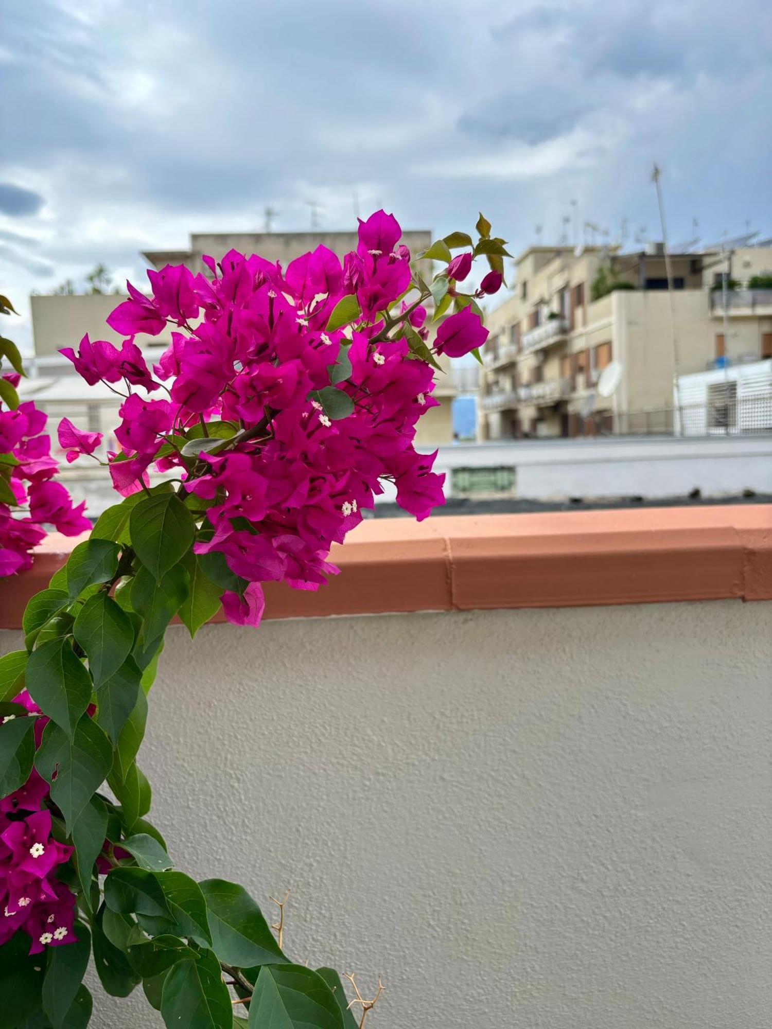Strettomare-Business & Travel Apartment Reggio di Calabria Bagian luar foto